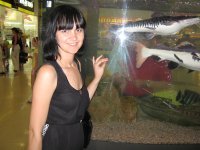 nikitoka99's profile picture. 