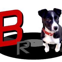 Buddy Records is a small indie label based in the North-East of Scotland. We also very much like cheese and tea.