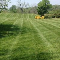 Jason Weicht (@greenthumbmow) 's Twitter Profile