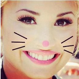Bio é vida então vou resumir a minha : @ddlovato (Since:19/05/12)