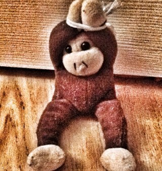 Just a regular monkey from the Amazon rainforest.