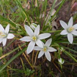 jkim5642's profile picture. 自由統一을 渴望하는 在美 同胞