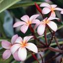 Paula LaBelle - @PLABE - Twitter