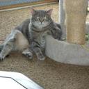 Janet Camp - @janetlcamp - Twitter