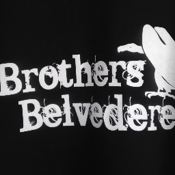 Brothers Belvedere is a cover and original band.  We are not brothers, but a brotherhood of artists.