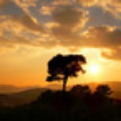 synspirational's profile picture. truly yours, always & forever