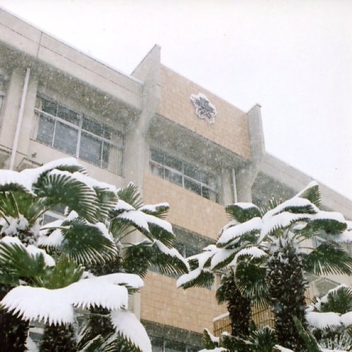 山梨県立白根高等学校のあるある