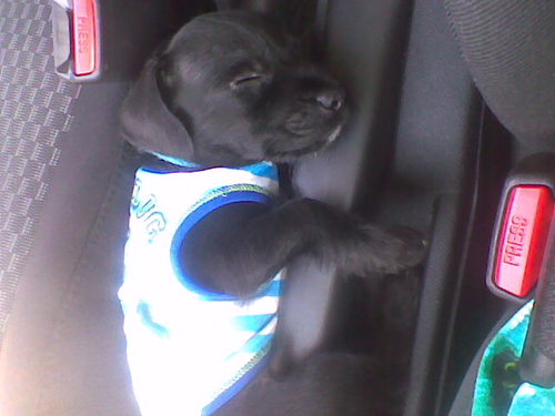 lorigbanks's profile picture. 