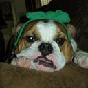 jing zou - @jingz30 - Twitter