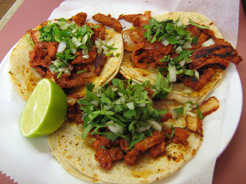 Soy un taco y doy Followback.