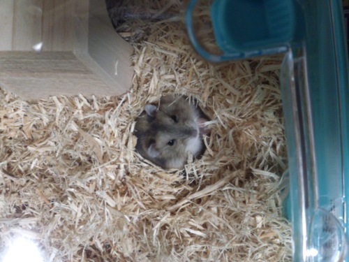 tsig250407's profile picture. 