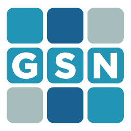 GSNgineering's profile picture. 