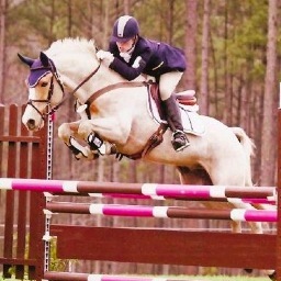 Advanced Event Rider and Trainer, current advanced horse is a 14.3 hand palomino purebred Connemara