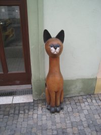 liontraveller's profile picture. 