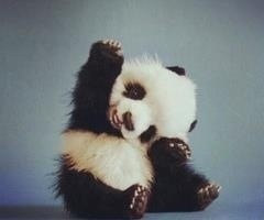 i love austin mahone, alot. taylor lautner, luke bylik, brett davern and more 3.