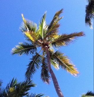 charlsull's profile picture. 