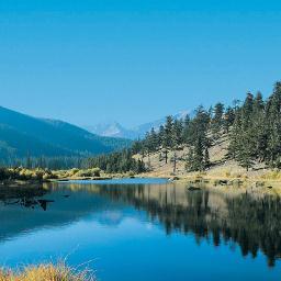 smallAppleRemon's profile picture. 新アカウント