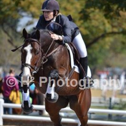 JacquesProcap's profile picture. 