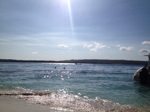 osteen13's profile picture. 