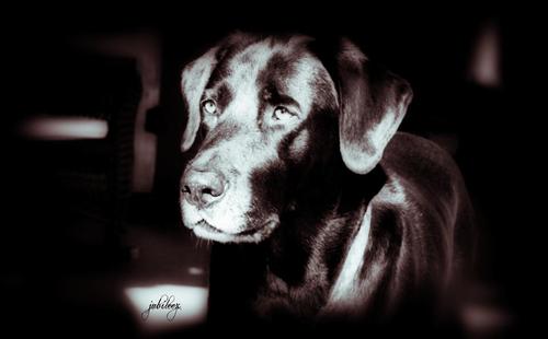 CheriCozy's profile picture. 