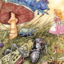 kate clair - @cleolisa1 - Twitter