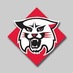 Tim Robertson (@davidsoncats63) Twitter profile photo