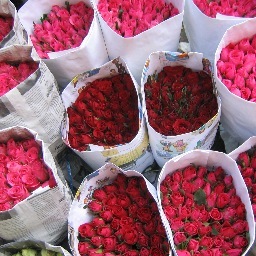 wendyjpaterson's profile picture. 