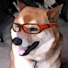 てふめたるさんのプロフィール画像