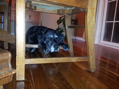 Rapids666's profile picture. 