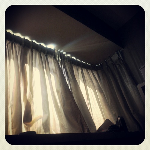 happysapling's profile picture. curtained suns
