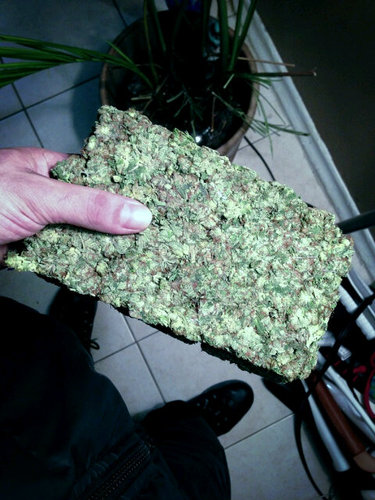 MoneyGreenz12's profile picture. Loyalty Is Priceless No Days Off 25/8