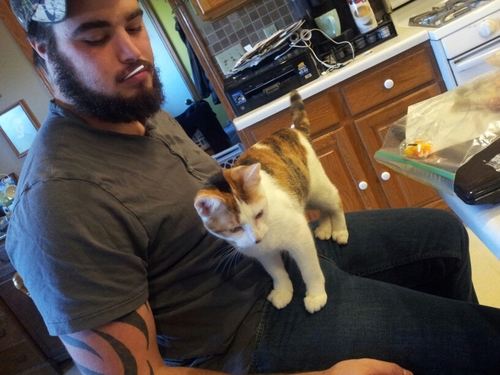 FEARTHEBEARDGM's profile picture. Rockin  the Beard since 1990