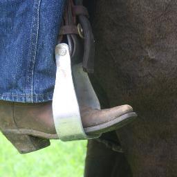 ExpAustCountry's profile picture. Proud to live and work in the Australian bush, proud of our way of life, the food we produce and our bush heritage.