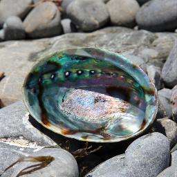 roisinjones1's profile picture. 