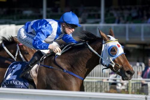 A Sporting Nut helping you find a winner on all things Sports and Racing