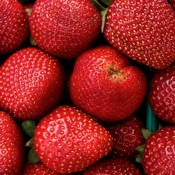 junction16's profile picture. 