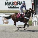 Williams Rodriguez - @boochecha24 - Twitter