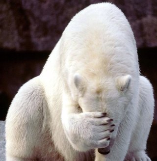 SiFriend's profile picture. 