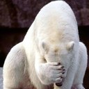 Simon Friend - @SiFriend - Twitter