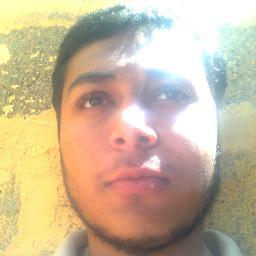 Software developer