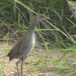 Am  a male,married,47 yrs old,tour guide/birder