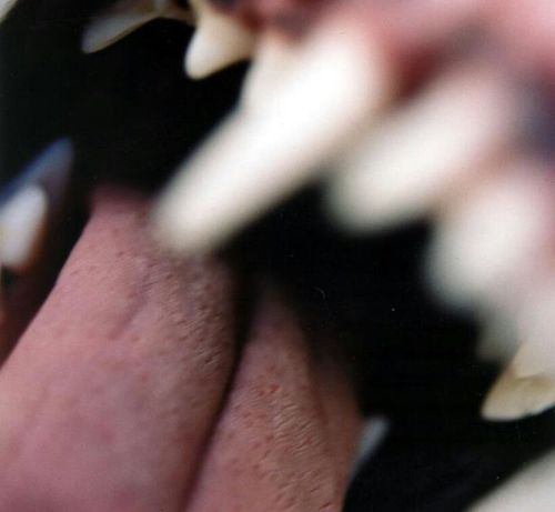 VVHOREBAG's profile picture. 