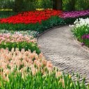 فلاح البنيان (@0233F) Twitter