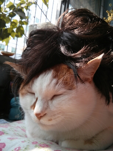 zhongyuyuyu's profile picture. 