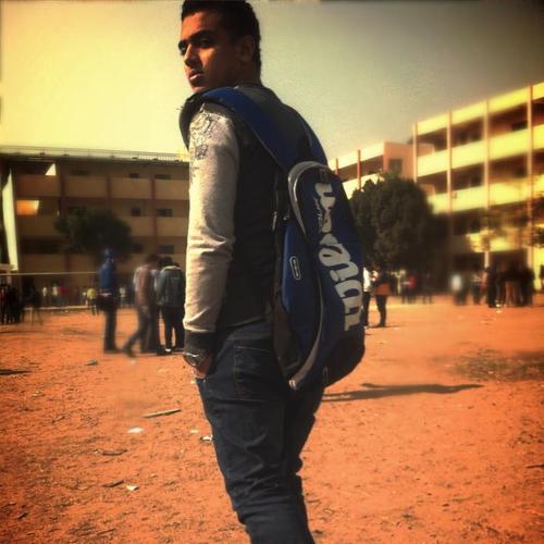 LZowroo's profile picture. 