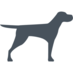 Bruji (@teambruji) Twitter profile photo Bruji (@teambruji) Twitter profile photo