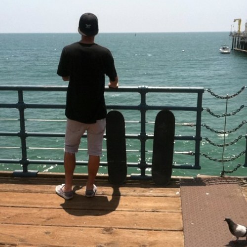 Hesh203's profile picture. 