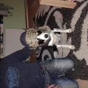 andrew blunt - @Blunty76 - Twitter