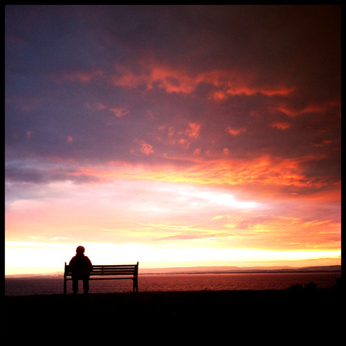 Writer, musician, M.E./CFS sufferer since 2008, Severe electrical sensitivity since 2010