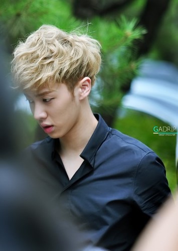 W.술양님의 홍콩반점 이기광 리밋계 본계: hongkong_0330